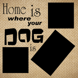 Home is Where Your Dog Is